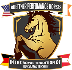 (c) Buettnerperformancehorses.com